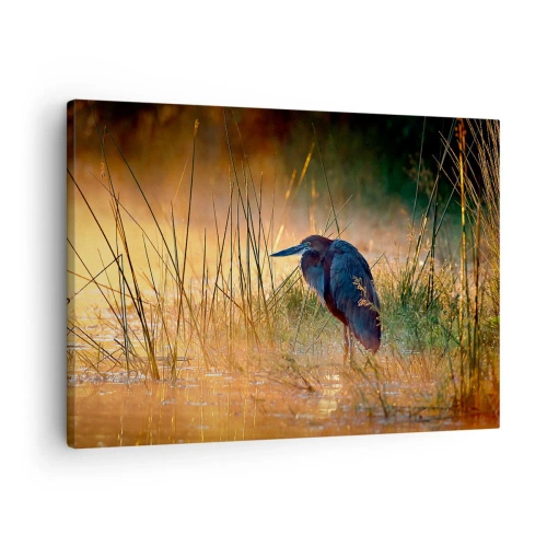 Tablou pe pânză Canvas - O stârc în zonele umede la apus, printre ierburi înalte - 70x50cm - Lasă-mă în pace cu aceste fotografii - Decorațiune modernă pentru perete pentru living și dormitor ARTTOR