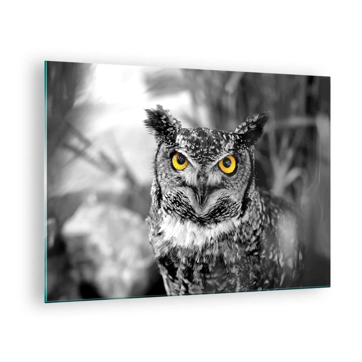 Tablou pe sticlă - O bufniță cu ochi galbeni pe un fundal alb-negru - 70x50cm - Nimic nu poate fi ascuns - Decorațiune modernă pentru perete pentru living și dormitor ARTTOR