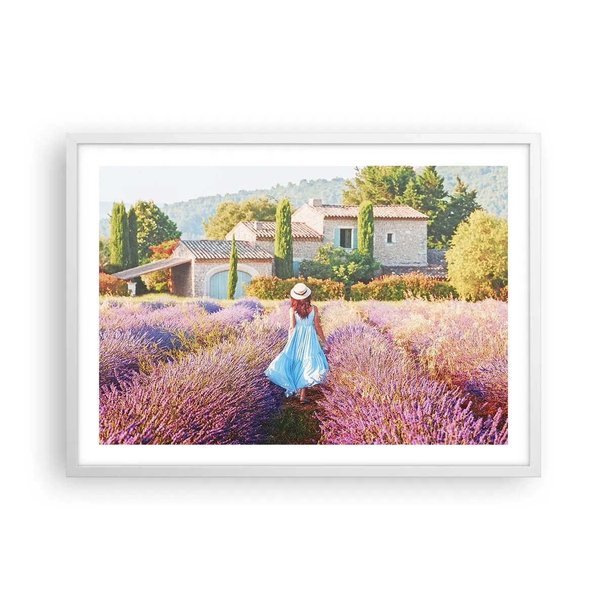 Poster în ramă albă - Fata de lavandă - 70x50 cm