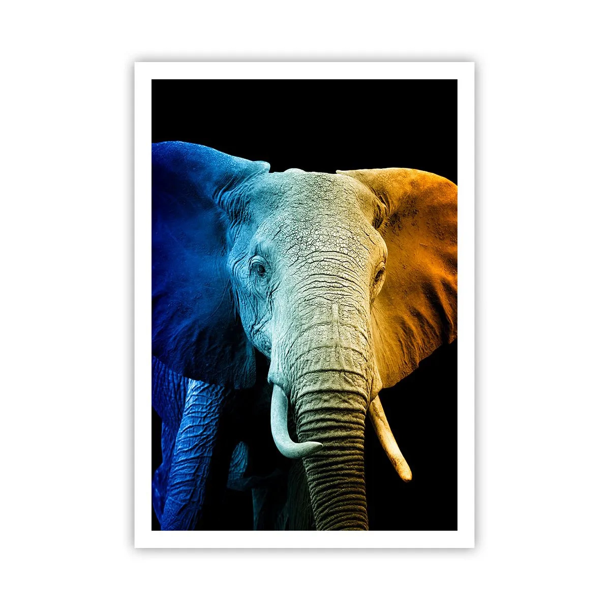 Poster - Excentric, nu ciudat - 70x100 cm