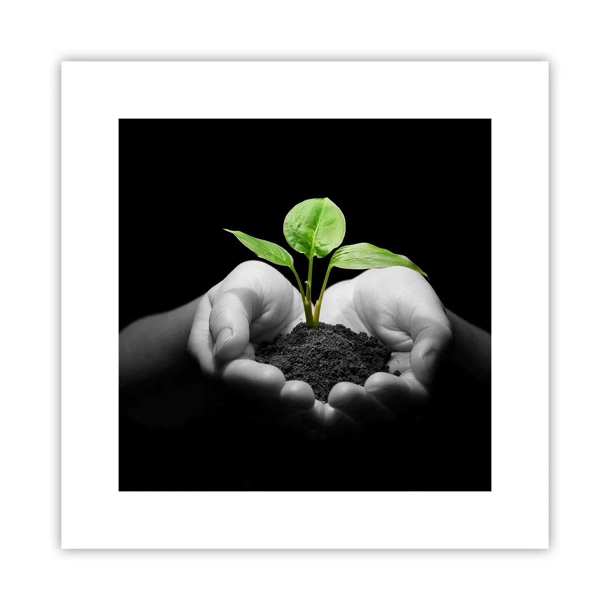 Poster - Iubesc natura, o protejez - 30x30 cm