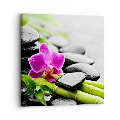 Tablou pe pânză - Într-un echilibru pașnic - 30x30 cm