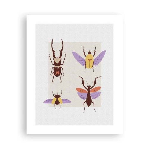 Poster - Lumea insectelor - 40x50 cm