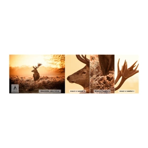 Mostră tapet autocolant Deluxe Sticker - Stăpânul conacului - Peisaj, Cerb, Animale - 100x30 cm