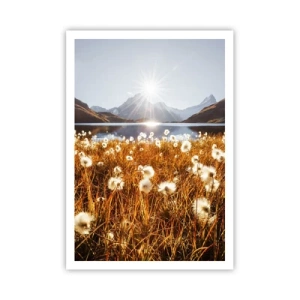 Poster - Duritatea rocilor, moliciunea ierbii - 70x100 cm