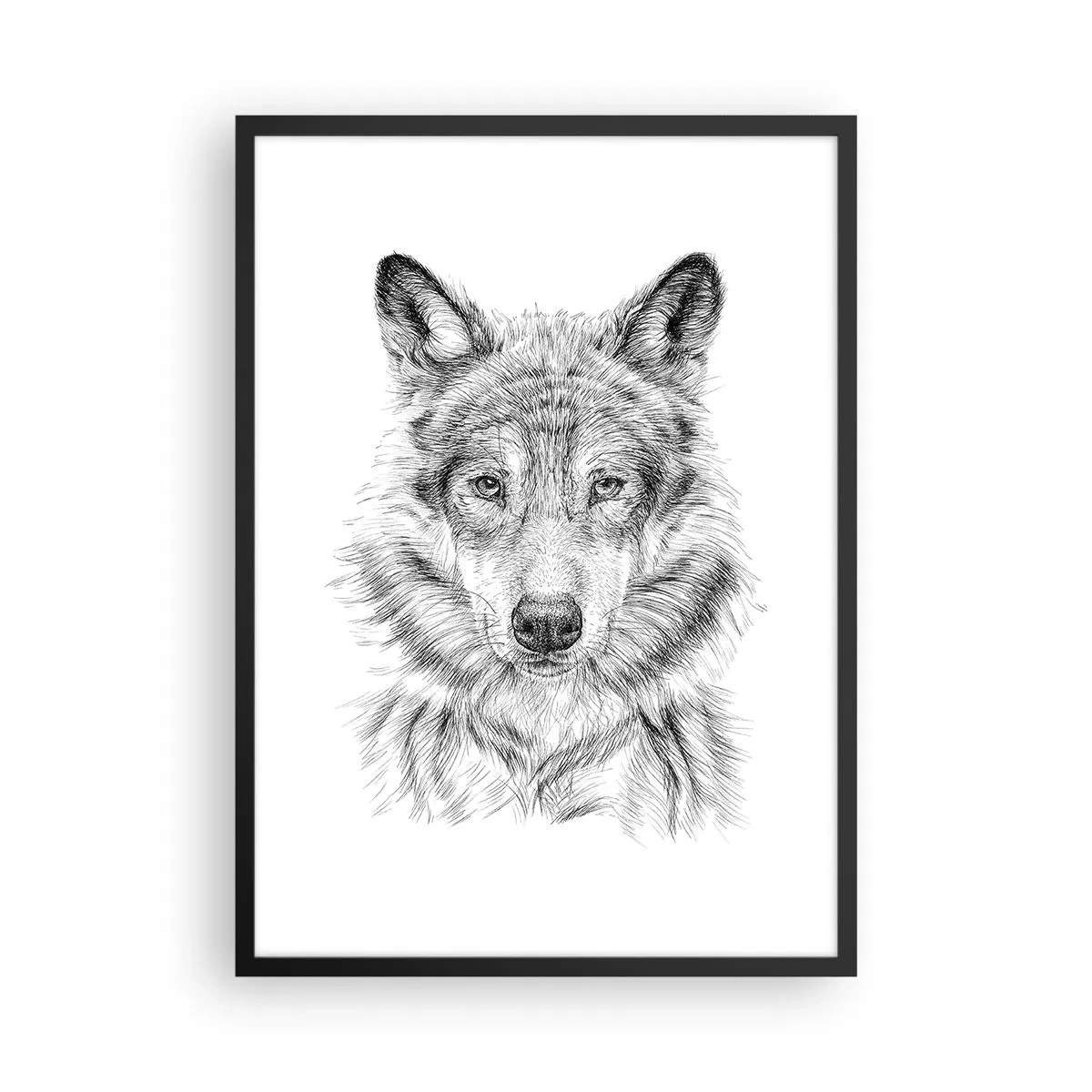 Poster în ramă neagră - Desen detaliat al unui lup în stil alb-negru - 50x70cm - Un lider înnăscut - Decorațiune modernă pentru perete pentru living și dormitor ARTTOR