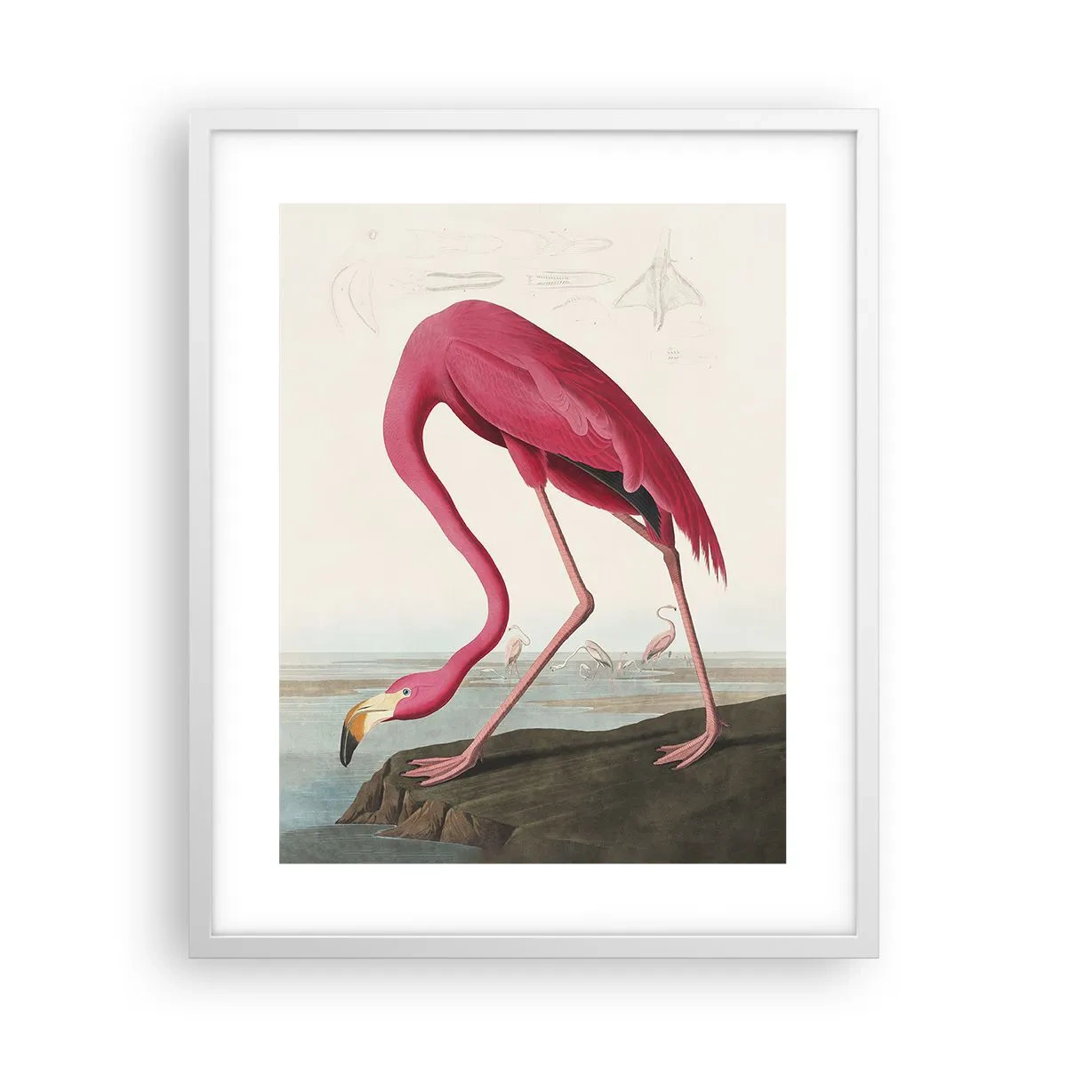 Poster în ramă albă - O creatură uimitoare - 40x50 cm