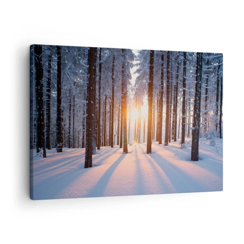 Tablou pe pânză Canvas - Pădurea de iarnă luminată de razele soarelui - 70x50cm - În mod clar în alb și negru - Decorațiune modernă pentru perete pentru living și dormitor ARTTOR