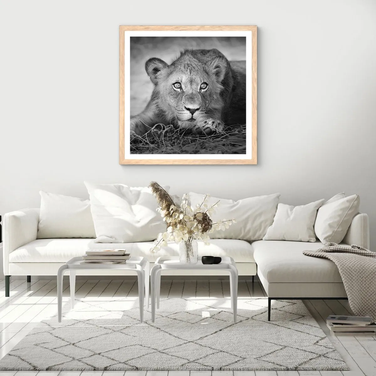 Poster în ramă de stejar deschis - Pisicuța regală - 40x40 cm