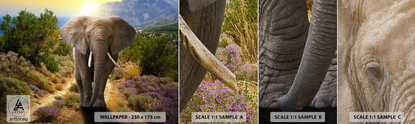 Mostră tapet Premium Canvas - Iată cum arăta Edenul - Animale, Elefant, Safari - 100x30 cm