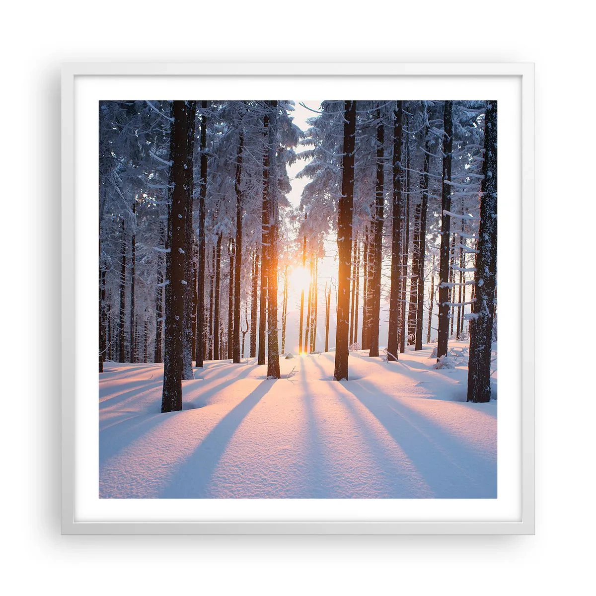 Poster în ramă albă - În mod clar în alb și negru - 60x60 cm
