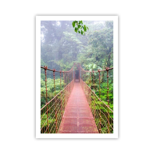 Poster - Suspendat deasupra coroanelor arborilor - 61x91 cm