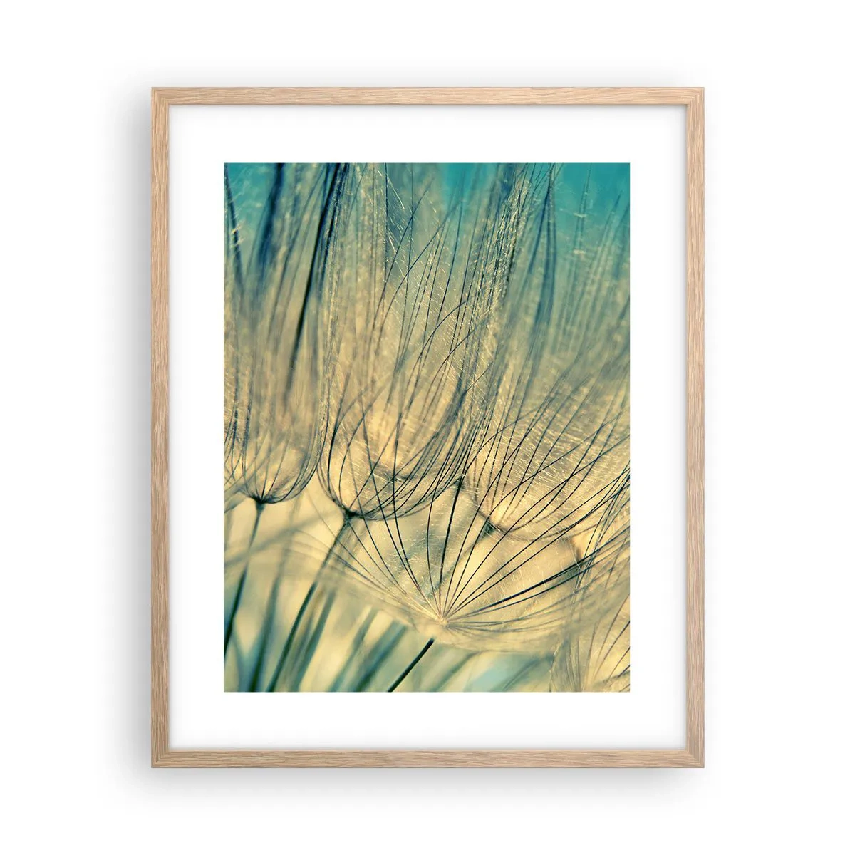 Poster în ramă de stejar deschis - Așteptând vântul - 40x50 cm