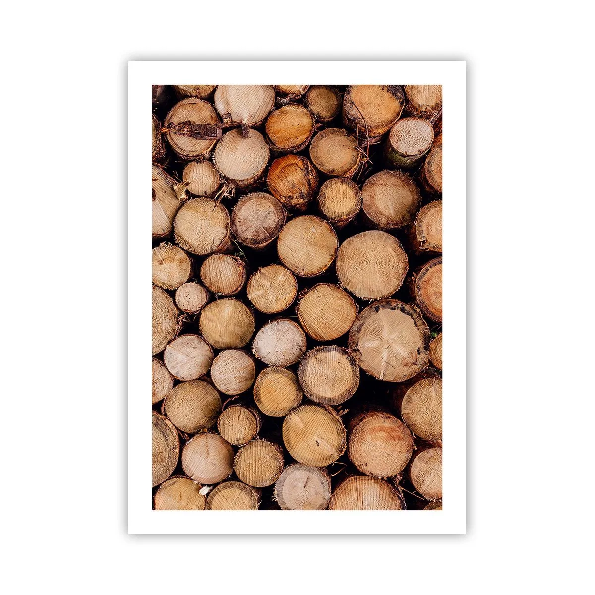 Poster - Un nou început - 50x70 cm