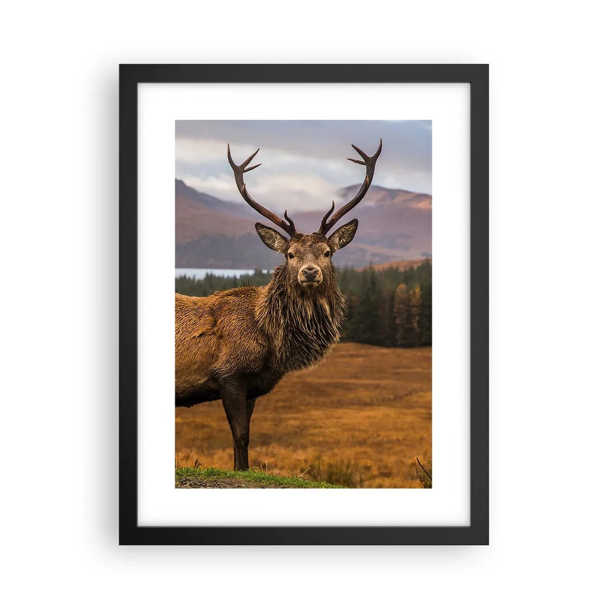 Poster în ramă neagră - Măreția naturii - 30x40 cm