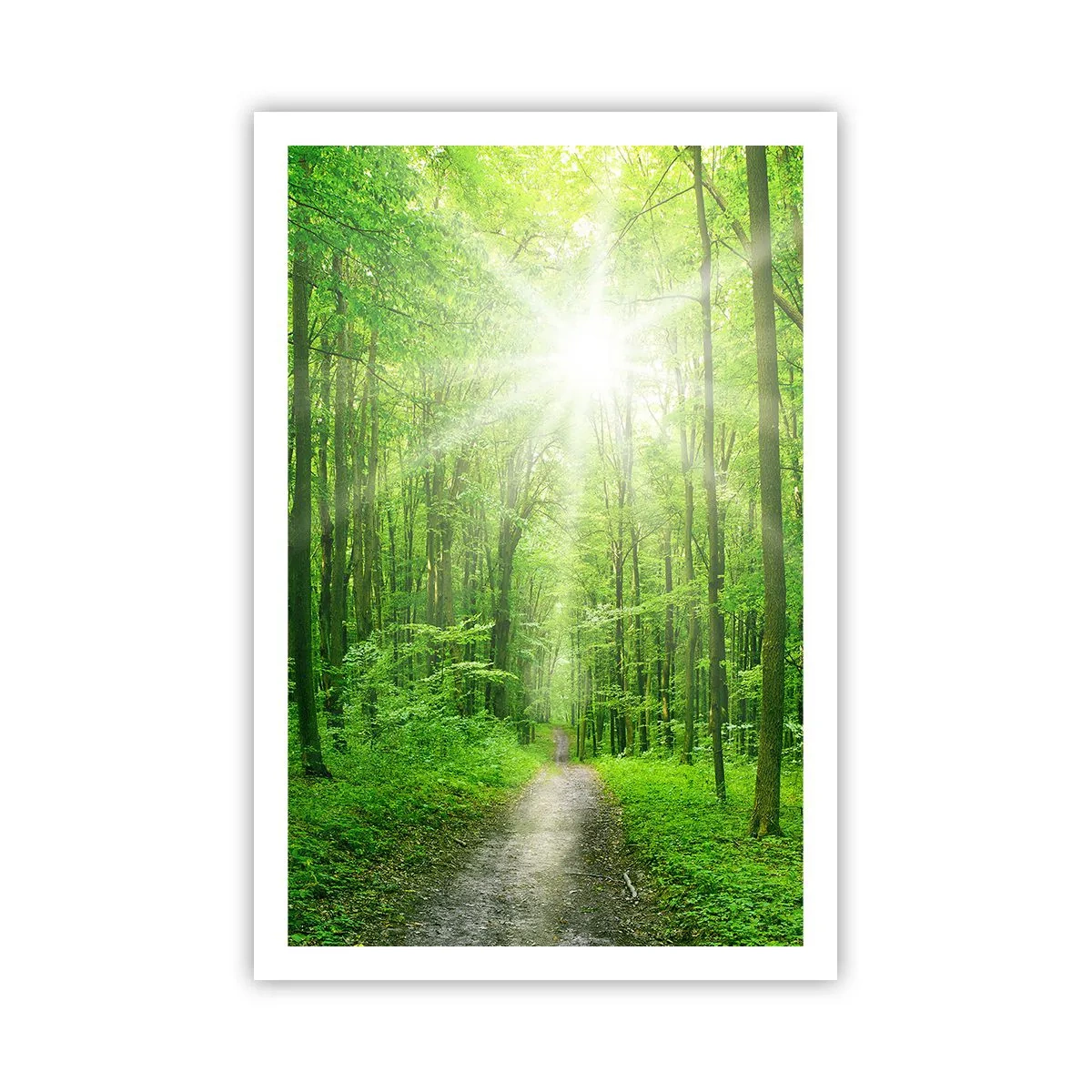 Poster - Catedrala verde - 61x91 cm