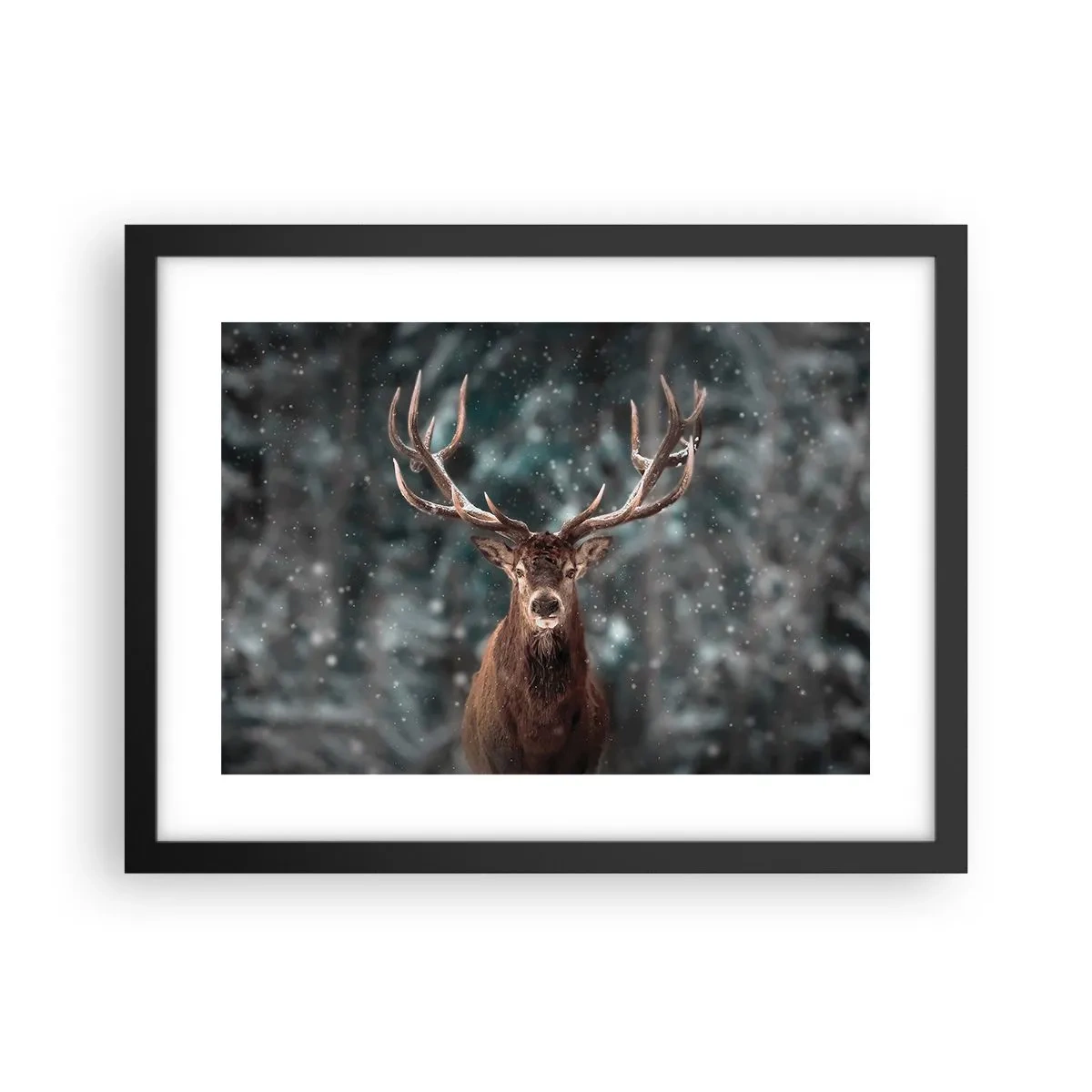 Poster în ramă neagră - Regele pădurii a fost încoronat - 40x30 cm