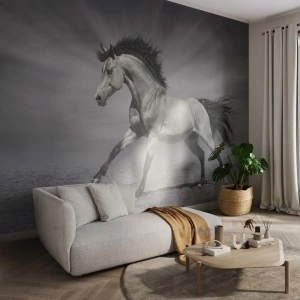 Tapet Premium Sand - Născut pentru a încânta - Animale, Cal, Natură - 100x70 cm
