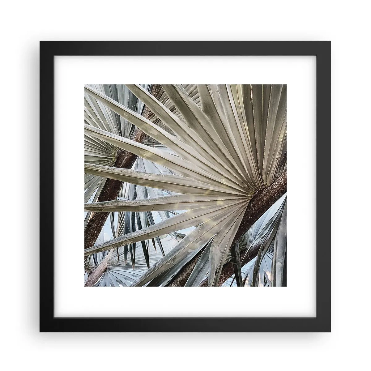 Poster în ramă neagră - Evantaie din tropice - 30x30 cm