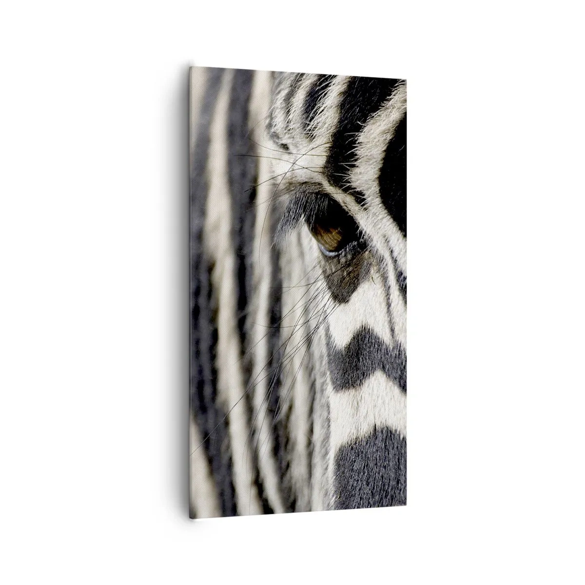 Tablou pe pânză - Portret cu dungi - 65x120 cm