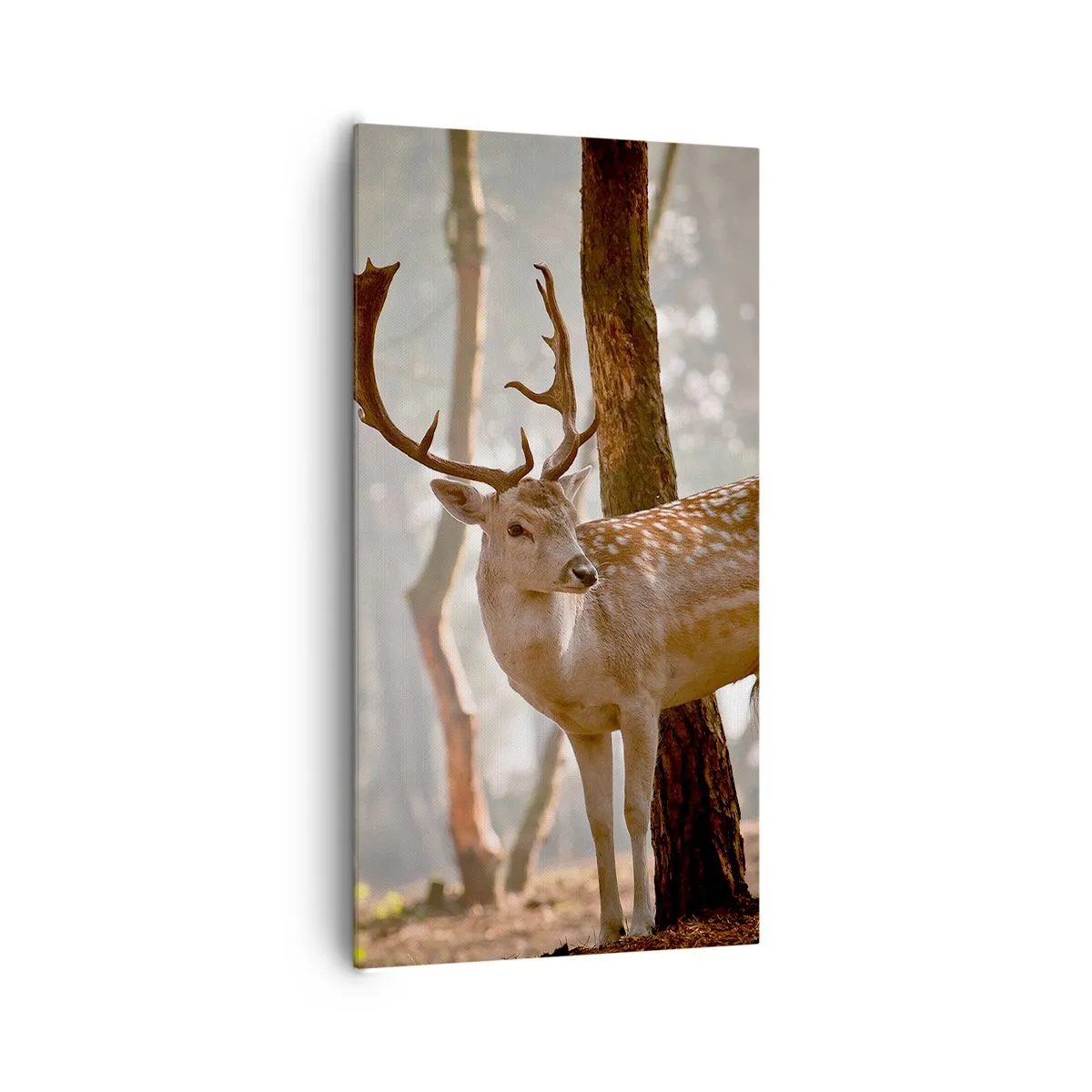 Tablou pe pânză - Lumina tinereții - 65x120 cm