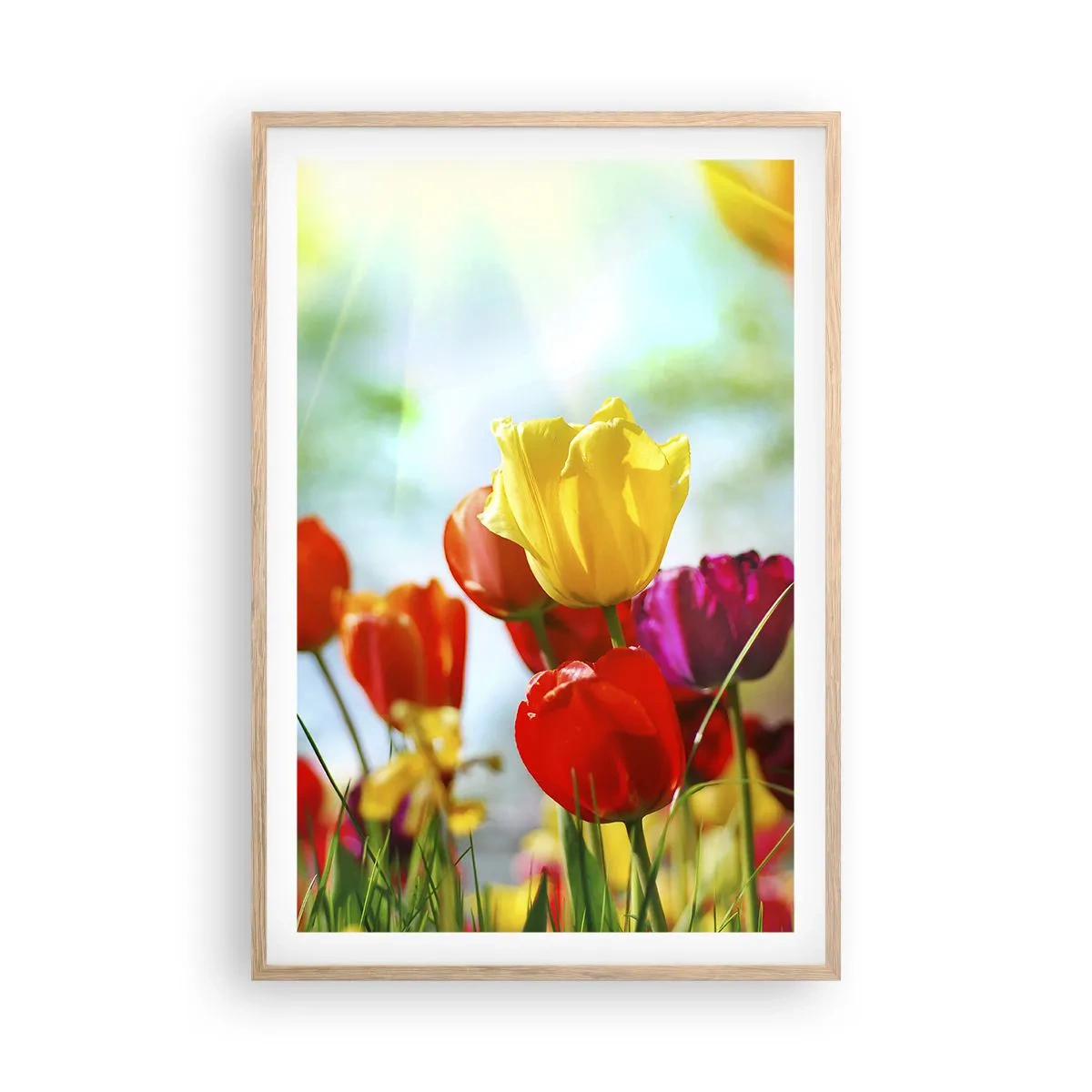 Poster în ramă de stejar deschis - Toate culorile soarelui - 61x91 cm