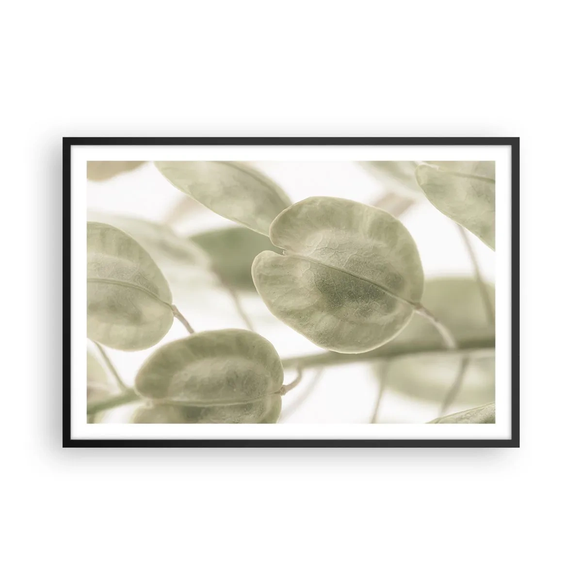 Poster în ramă neagră - La început au fost frunzele... - 91x61 cm