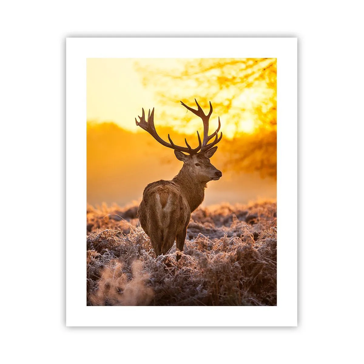 Poster - Regele pădurii de toamnă - 40x50 cm