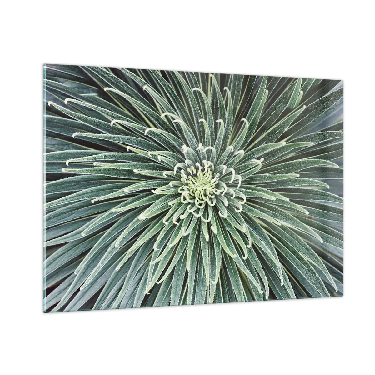 Tablou pe sticlă - Nașterea unei stele - 100x70 cm