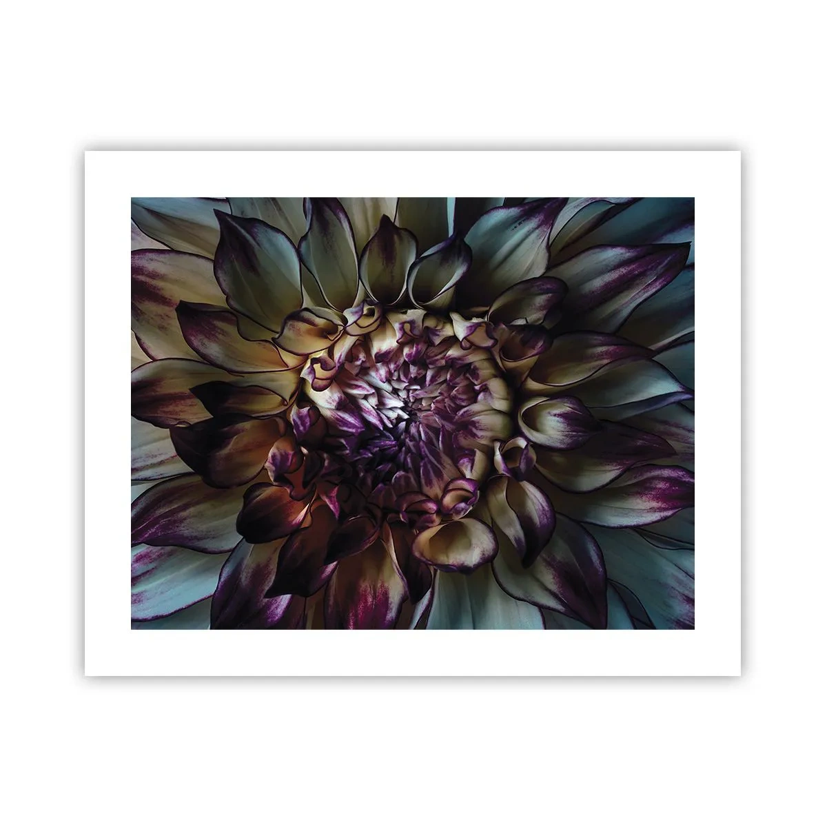 Poster - Înflorirea tinereții - 50x40 cm