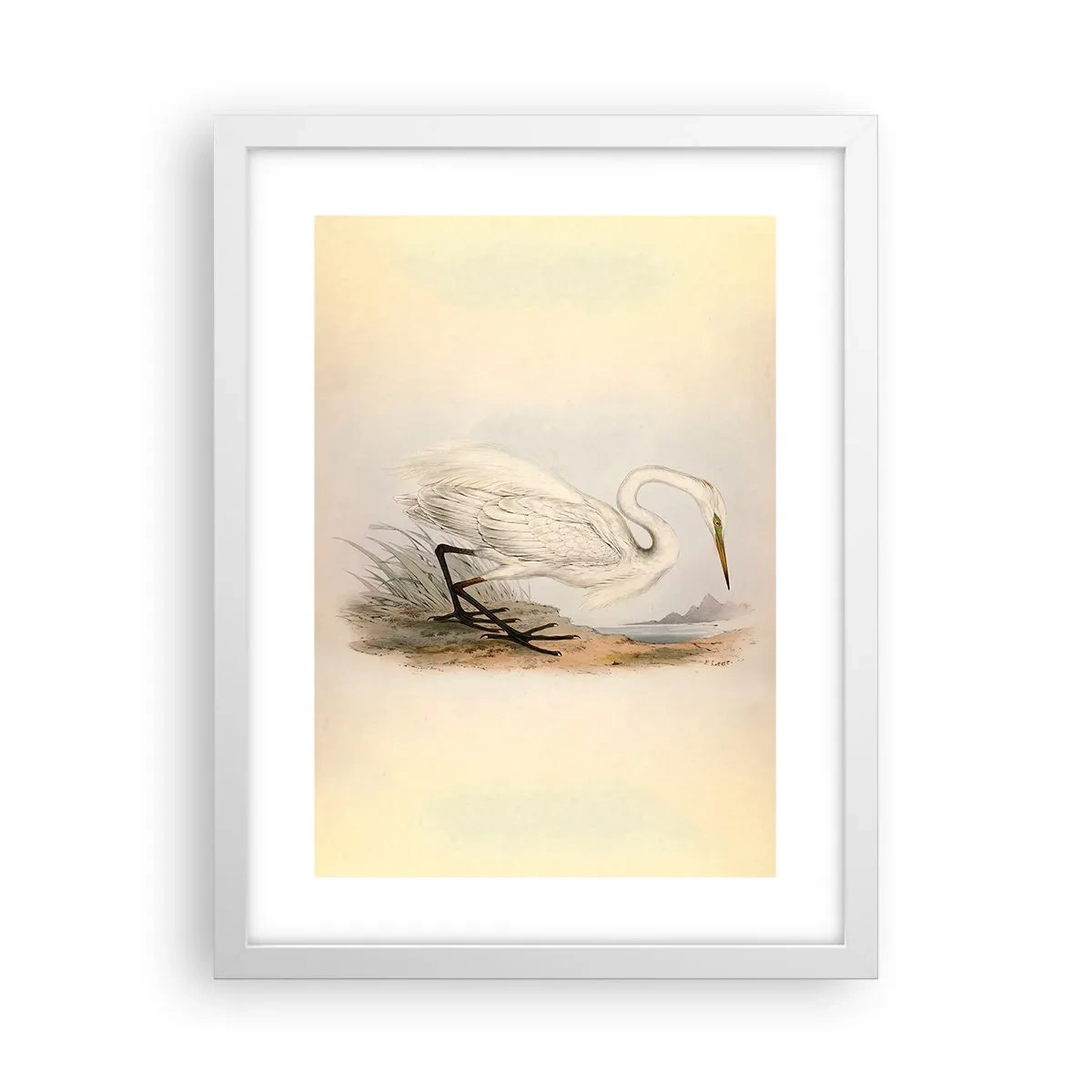 Poster în ramă albă - Doamna în stufărișuri - 30x40 cm