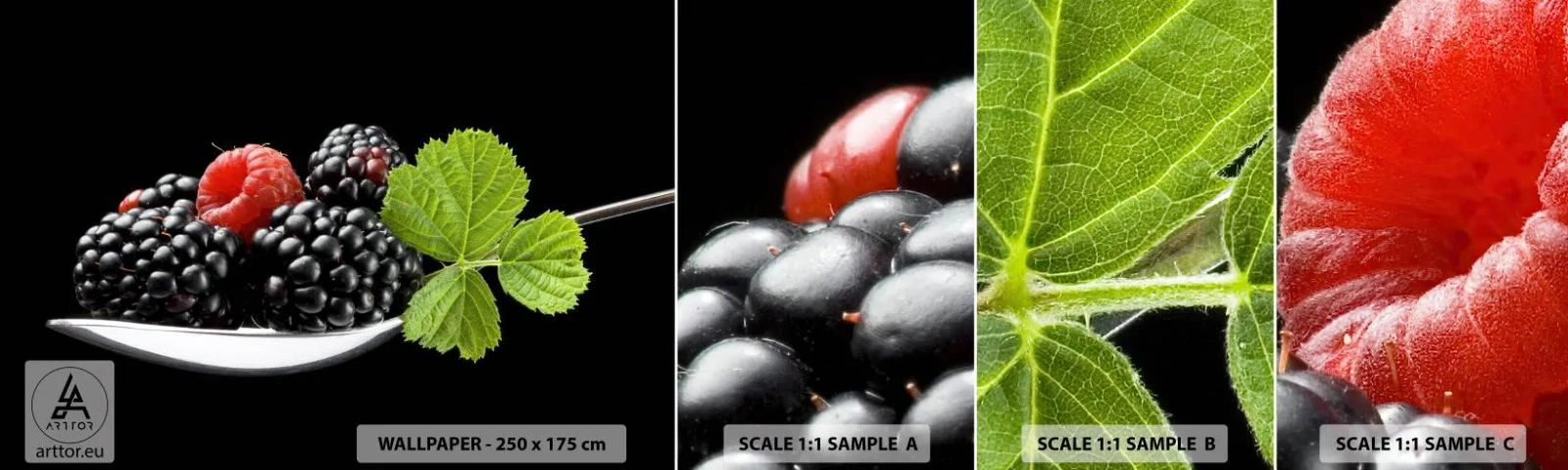 Mostră de Tapet Standard Eco - Gustul prospețimii - Fructe, mure, Zmeură - 100x30 cm