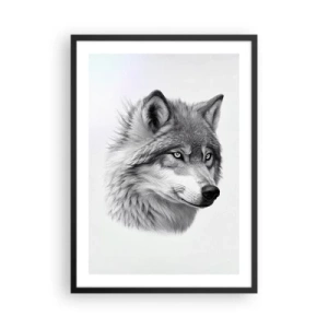 Poster în ramă neagră - Un portret realist al unui lup în nuanțe de gri. - 50x70cm - Alfa - fără îndoială - Decorațiune modernă pentru perete pentru living și dormitor ARTTOR