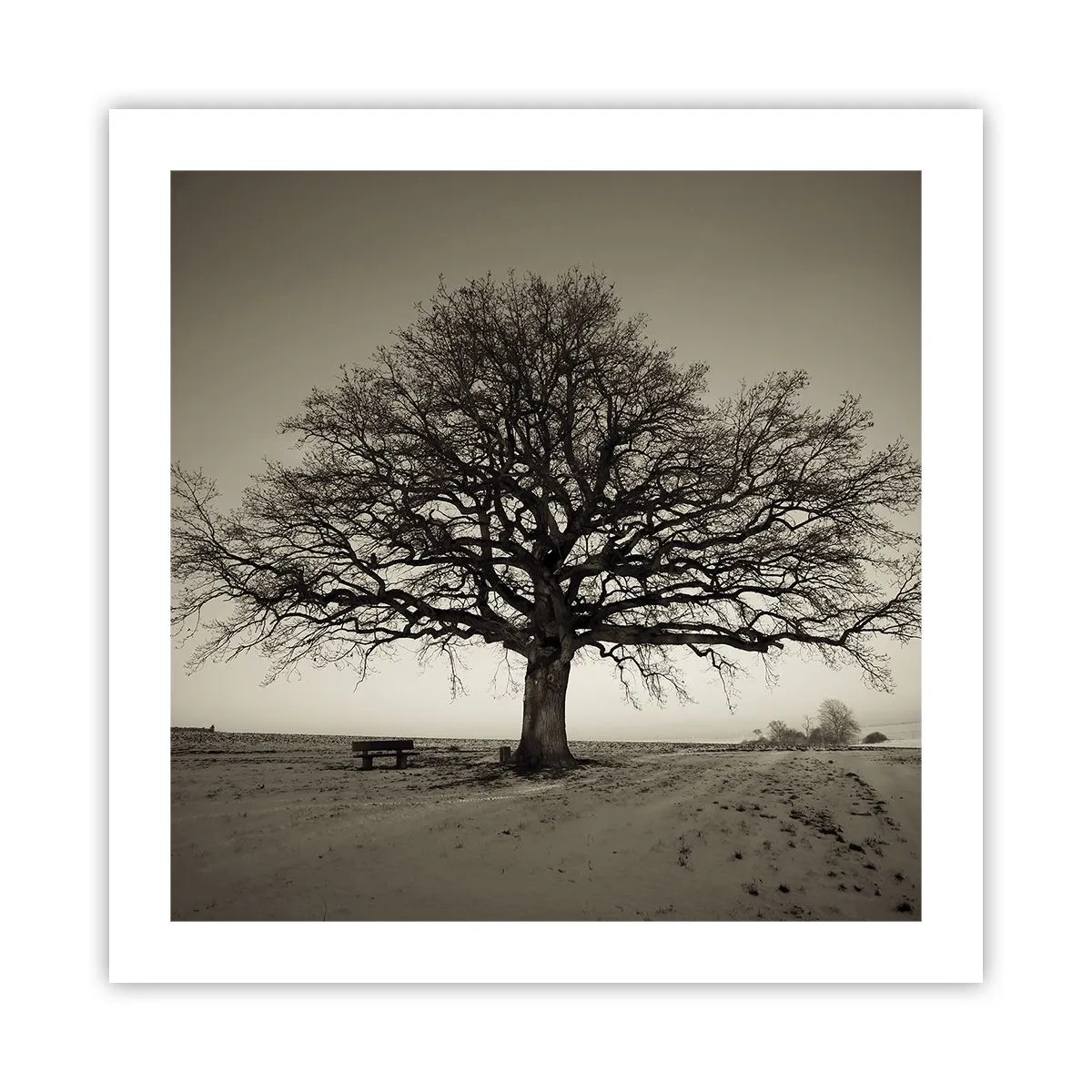 Poster - De aici până în veșnicie - 50x50 cm