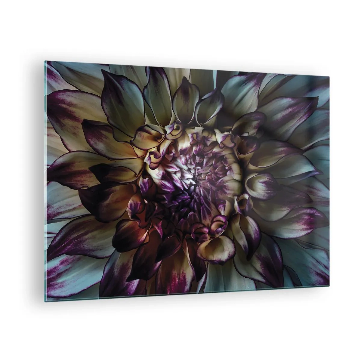 Tablou pe sticlă - Prim-plan al unei flori într-o paletă de culori închise - 70x50cm - Înflorirea tinereții - Decorațiune modernă pentru perete pentru living și dormitor ARTTOR