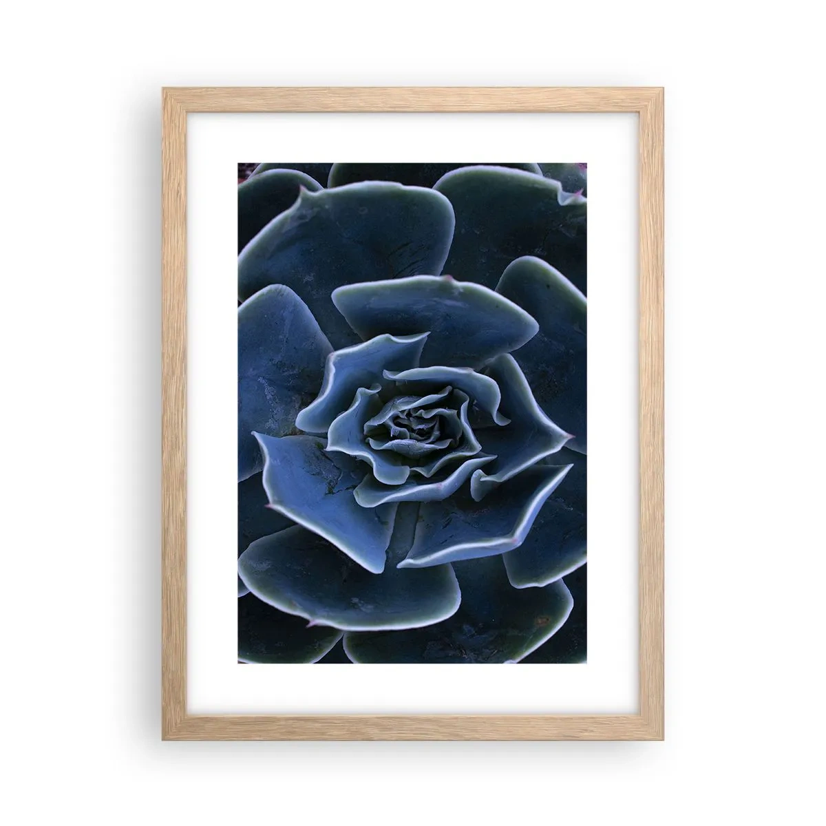 Poster în ramă de stejar deschis - Floare de deșert - 30x40 cm