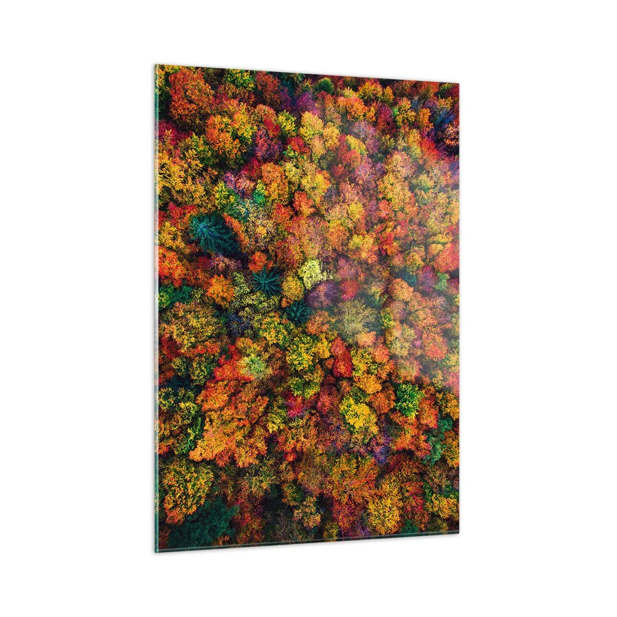 Tablou pe sticlă - Buchet de copaci de toamnă - 50x70 cm