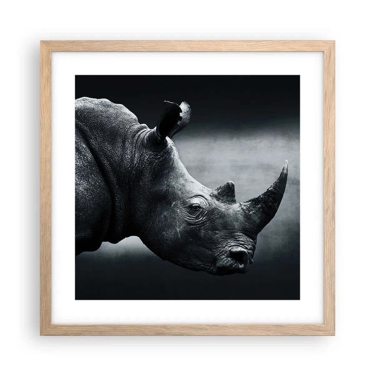 Poster în ramă de stejar deschis - Profil drept - 40x40 cm
