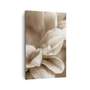 Tablou pe pânză - Blânde ca un zâmbet - 80x120 cm