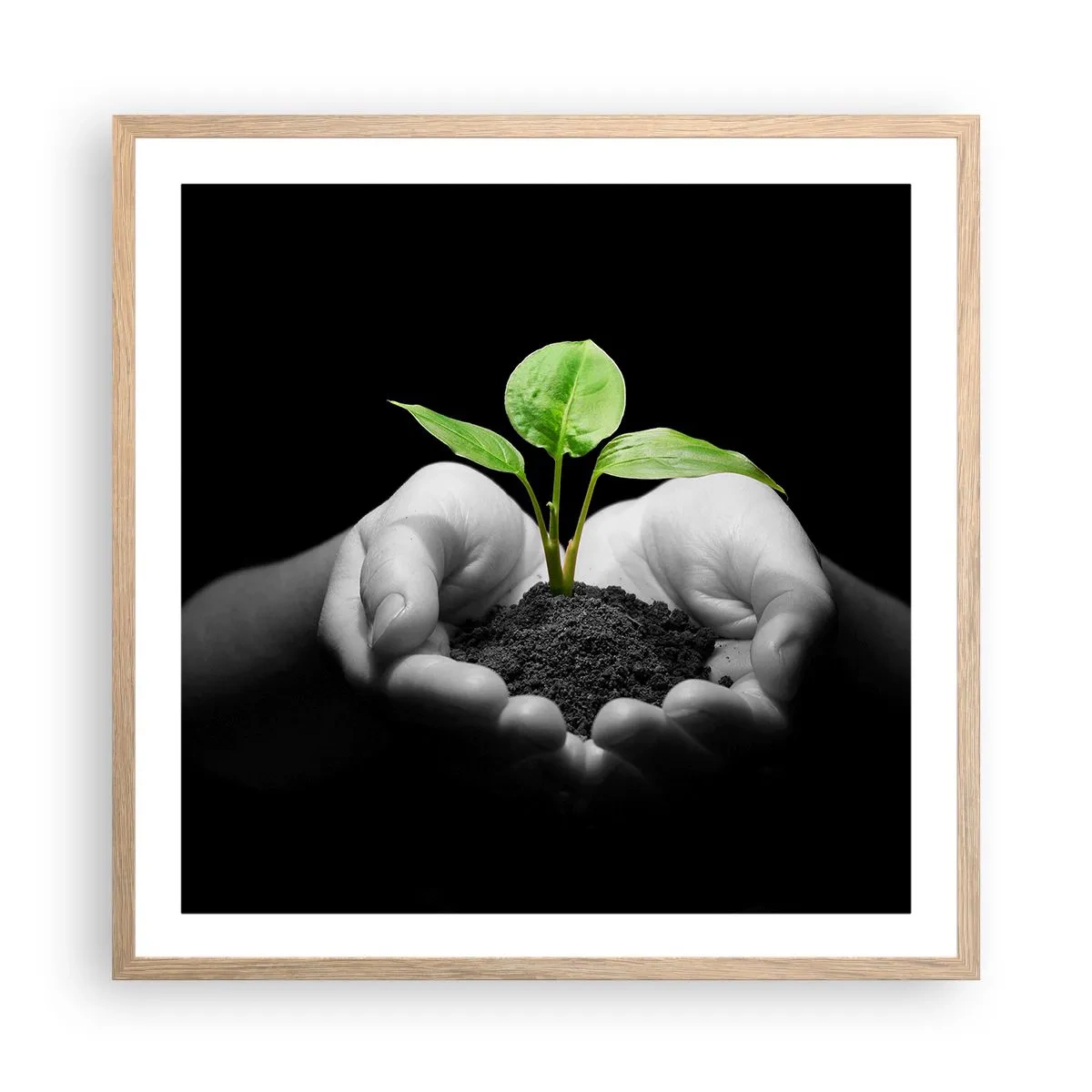 Poster în ramă de stejar deschis - Iubesc natura, o protejez - 60x60 cm