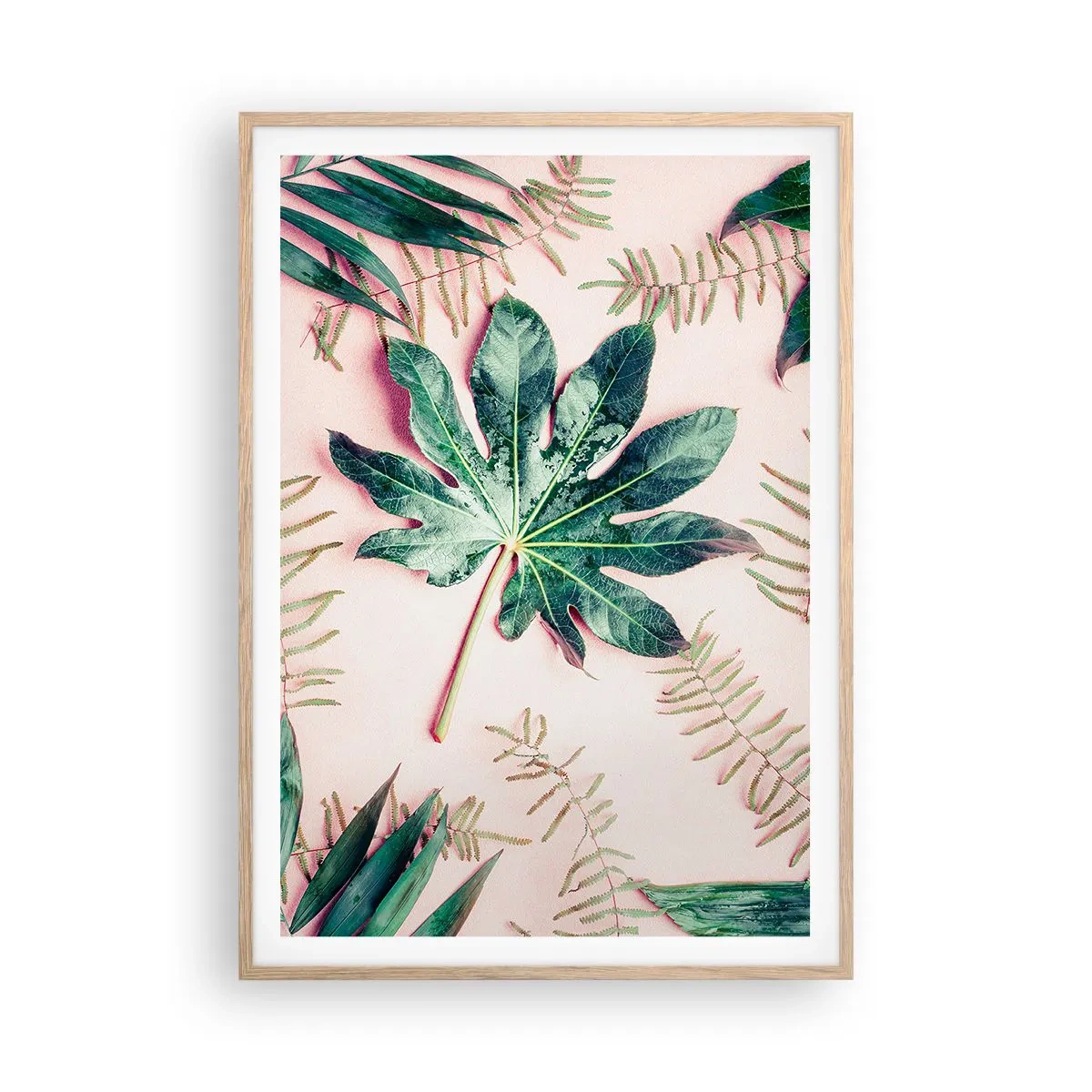 Poster în ramă de stejar deschis - Studiu de verdeață pe un fundal roz - 70x100 cm