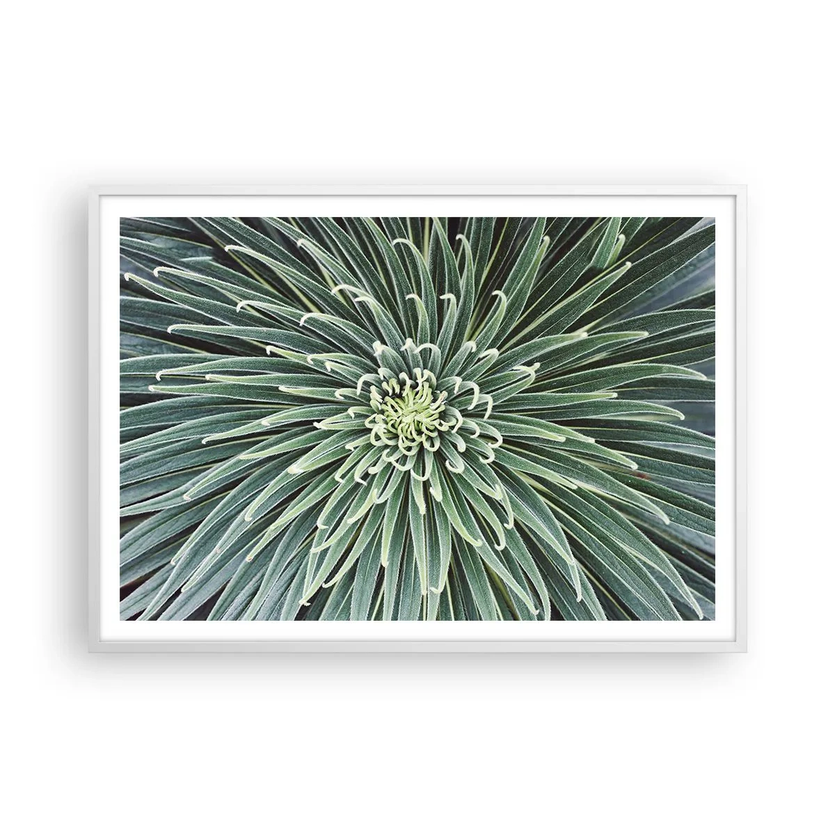 Poster în ramă albă - Nașterea unei stele - 100x70 cm