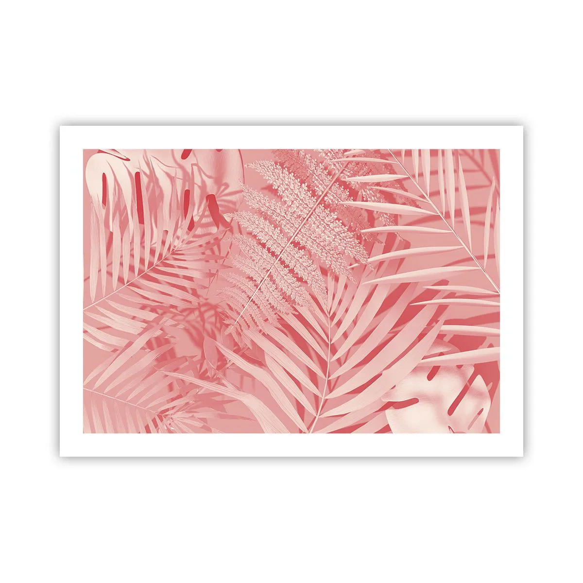 Poster - Conceptul roz - 70x50 cm