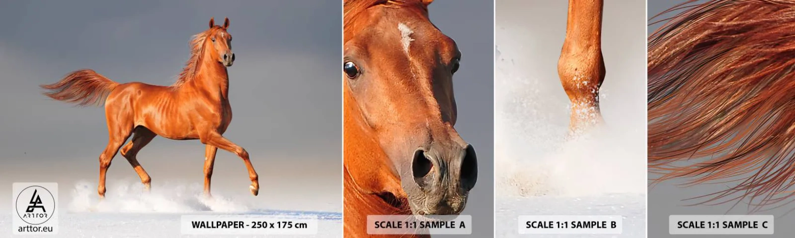 Mostră de Tapet Standard Eco - Dansul grației - Animale, Cal, Natură - 100x30 cm