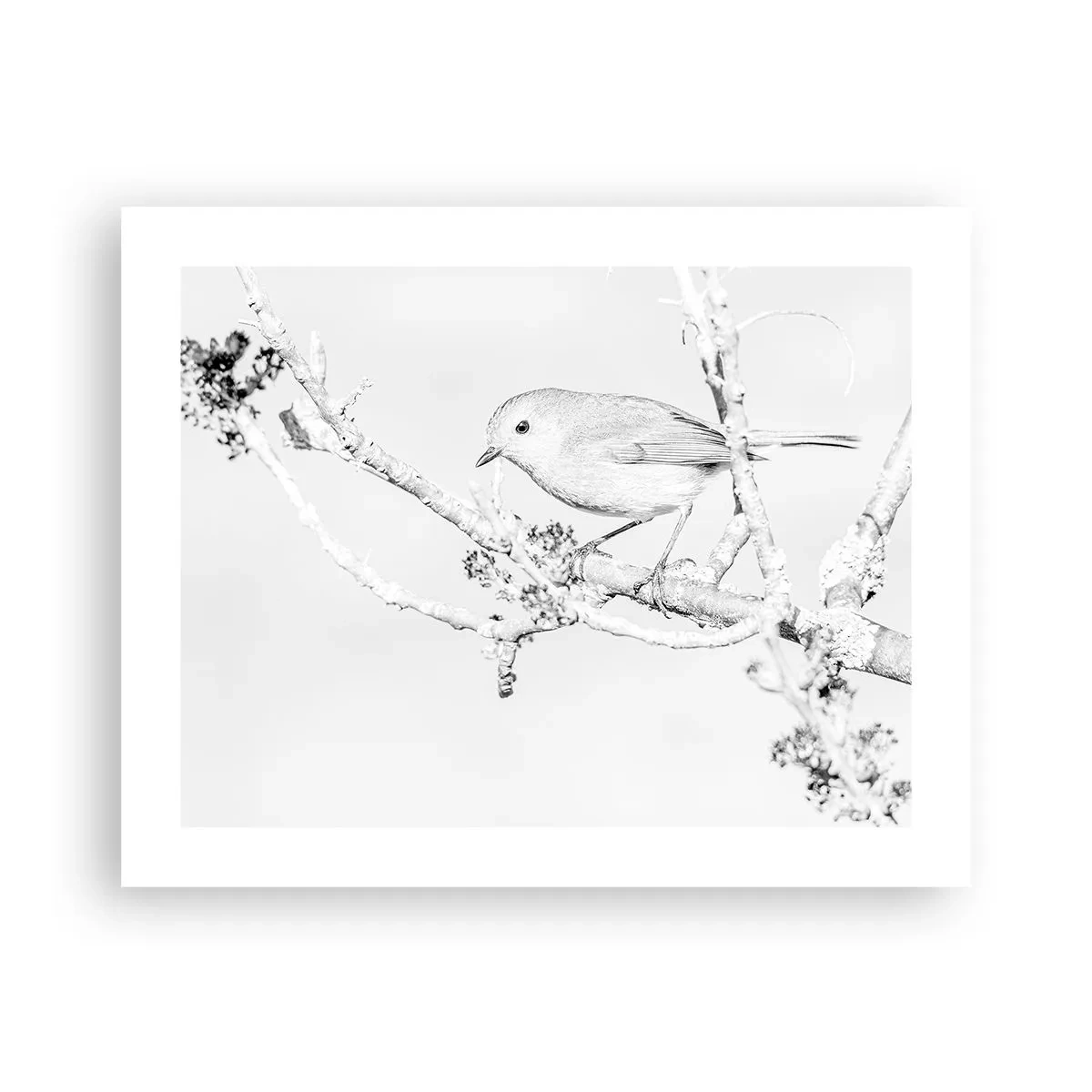 Poster - Dimineață de iarnă - 50x40 cm