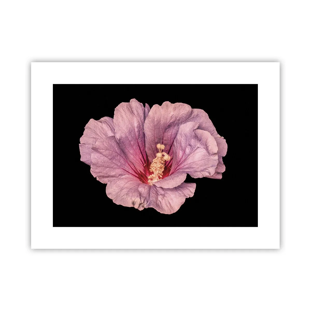 Poster - Direct la inimă - 40x30 cm