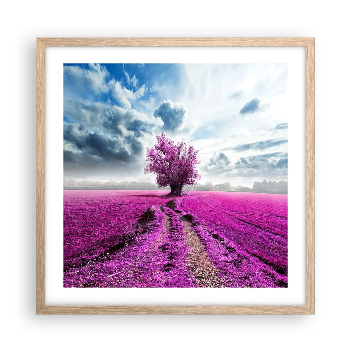 Poster în ramă de stejar deschis - Câmpul cu iarbă neagră - 50x50 cm