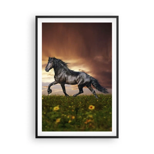 Poster în ramă neagră - Prințul negru - 61x91 cm