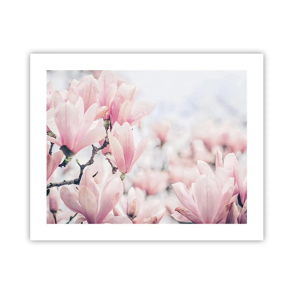 Poster - Idealul de subtilitate - 50x40 cm