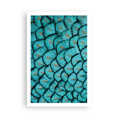 Poster - Marea gală a penelor - 61x91 cm